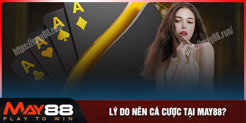 Lý do bạn nên chọn may88 làm nơi cá cược