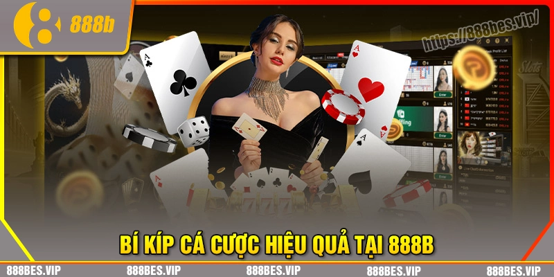Những bí kíp cá cược hiệu quả tại 888b cho bet thủ